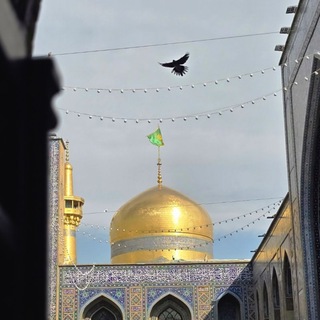 Логотип @imamrezafr1 - 🇵🇸 ImamRezaFR