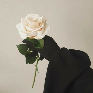 Логотип @imanistatys - TASNIMI~statys🖤