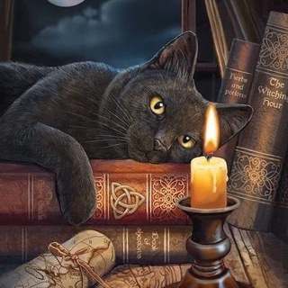 Логотип @imblueocean2020 - Магия старой ведьмы