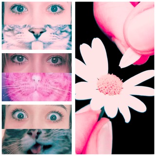 Логотип @imlavstaff1 - аймлавстафф