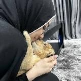 Логотип @imm_di - 🫂))