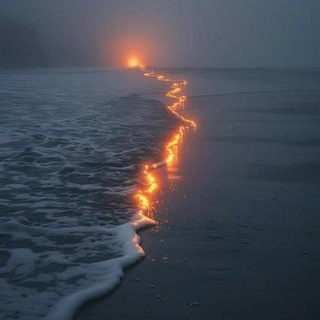 Логотип @immaginispettacolari - 📸Phone wallpaper📷