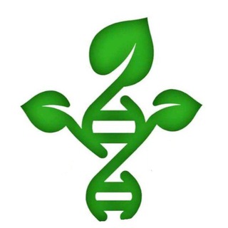 Логотип @immigration_psychology - Иммиграция с психологами