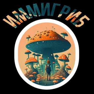 Логотип @immigrib - ИММИГРИБ — Канал об иммиграции