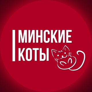 Логотип @improvminskfd - Минские кoты