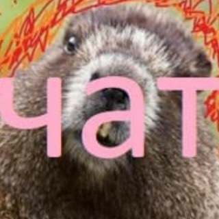 Логотип @imps123 - Chat для обсуждения рэпа