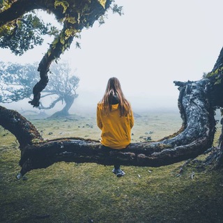 Логотип @imusic_chat - Music 24/7