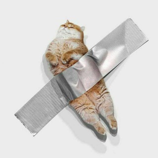 Логотип @in_ideas_chat - чатик *in ideas*