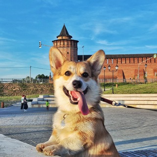 Логотип @in_kolomna - Коломенская правда. Новости