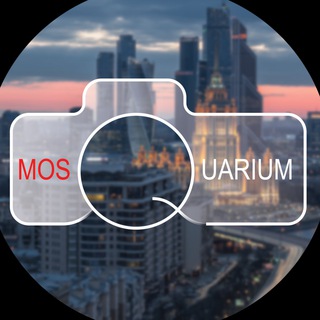 Логотип @in_mosquarium - Mosquarium