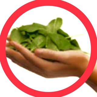 Логотип @in_naturweg - Alternative Medizin Infokanal