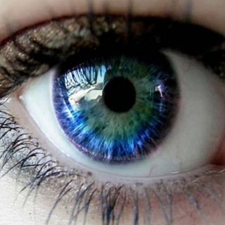 Логотип @in_sight_vzgljad - In sight