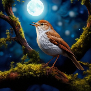 Логотип @inassbets - НОЧНОЙ СОЛОВЕЙ БЕТС