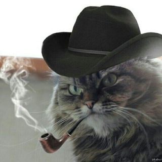 Логотип @incoherent_drivel - Классика декогерентного объективизма