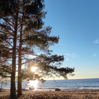 Логотип @incrediblelenoblast - In the middle of Ленобласть