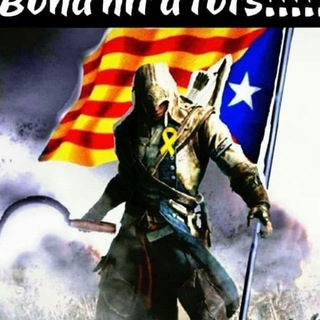 Логотип @independentcatalonia - NEVER SURRENDER