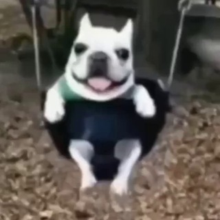 Логотип @indian0ch23 - Indian0ch