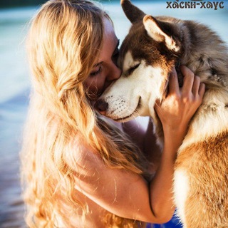 Логотип @indogswetrustchat - Катерина Пискунова и стая (чат)