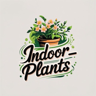 Логотип @indoorplantsmd - Indoor_plant.s l Комнатные растения 🪴