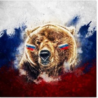Логотип @infass_89 - *Z*《ИНФАСС》*Z*