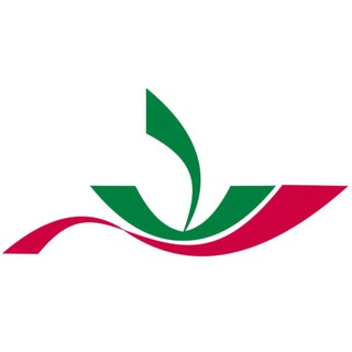 Логотип @infbol_nch - Инфекционная больница Челны