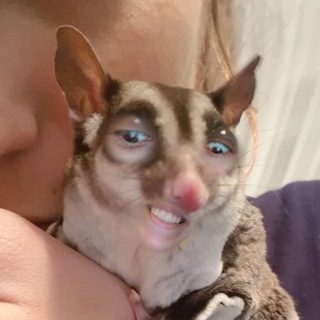 Логотип @infcircles - информативные кружочки