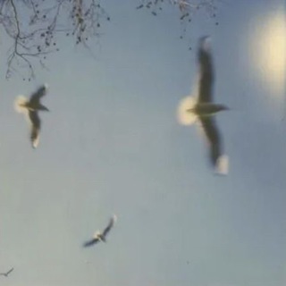 Логотип @infectgang - closed