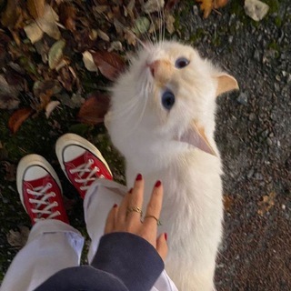 Логотип @infestt - Лайфхаки для девочек