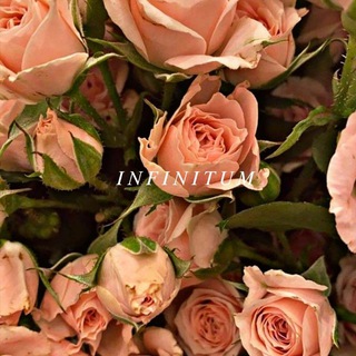 Логотип @infinitum_aeternums - 𝐼 𝑛 𝑓 𝑖 𝑛 𝑖 𝑡 𝑢 𝑚 💕