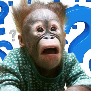 Логотип @Info_swedish - Умный бибизьян 🤓