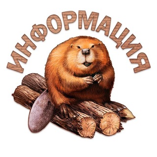 Логотип @info_bobra - Информация от Бобра