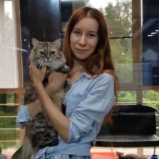 Логотип @info_kis - Лекторий и Библиотека волонтера 🐱🐶