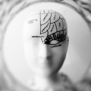 Логотип @infofacti - Интересные факты!