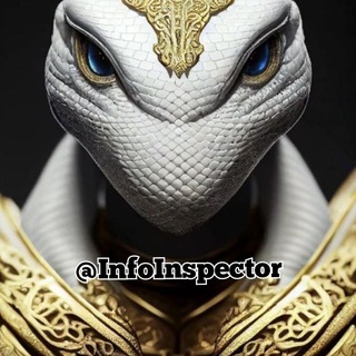 Логотип @infoinspector - Info Inspector