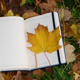 Логотип @infoneuezeit - Informationskanal für die Neue Zeit