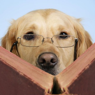 Логотип @inforetriever - Information Retriever