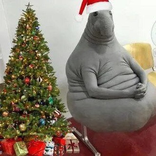 Ждуны Запорожской области 🇷🇺