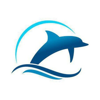 Логотип @ingresosamazonadsense - 🎁 SEO IA🦈 SharkContents.com🚀 AdSense 🏅 Ingresos Pasivos con Nichos IA #ADS #SharkContents.com