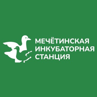 Логотип @inkubator_mis - Мечётинская инкубаторная станция