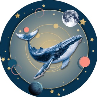 Логотип @inme_space - КИТЫ ЛИЧНОСТИ