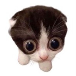 Логотип @innabeeb - ИннаБиБ