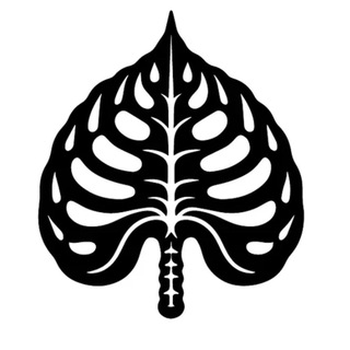 Логотип @innocent_plants - InnocentPlants