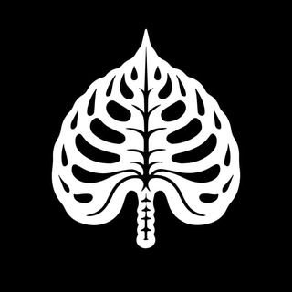 Логотип @innocentplantsshop - InnocentPlantsShop