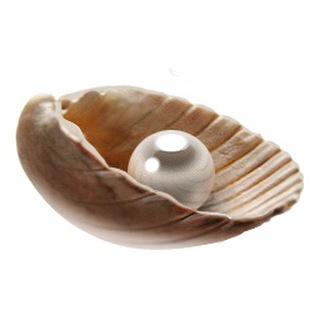 Логотип @inpearls - Жемчужины мысли