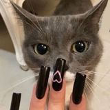 Логотип @insbabyss - крысиные земли