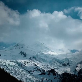 Логотип @insorblife - INSORB LIFE