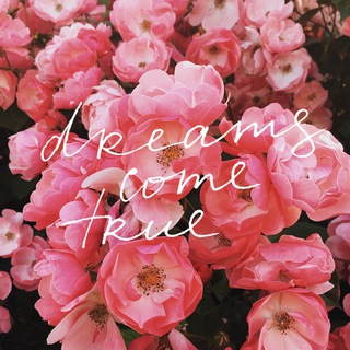 Логотип @inspireyourinstagram - Inspire Your Instagram