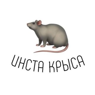 Логотип @insta_sliv_blogerov_intim - инста крыса 🐀