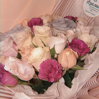 Логотип @insta_ssstories - Insta stories 💗