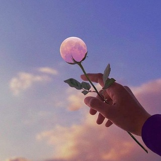 Логотип @insta_vizual - NS 🔥 Визуал